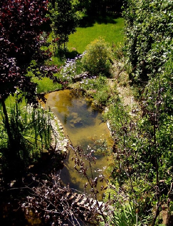 Il Laghetto del Centro di Entomologia - Piombino (LI)